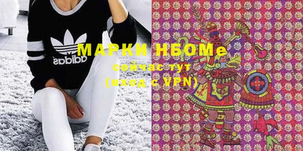 индика Балабаново