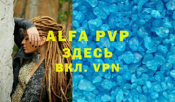 PSILOCYBIN Няндома