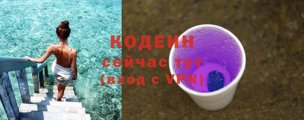индика Балабаново