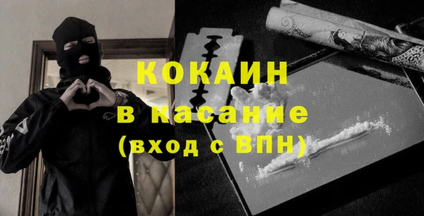 индика Балабаново