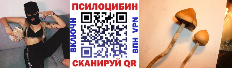 Галлюциногенные грибы прущие грибы даркнет сайт Рудня
